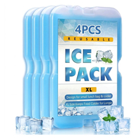 Blocs de glace pour boîtes à lunch et glacières, blocs réfrigérants originaux, accessoires pour glacières pour la plage, le camping et la pêche