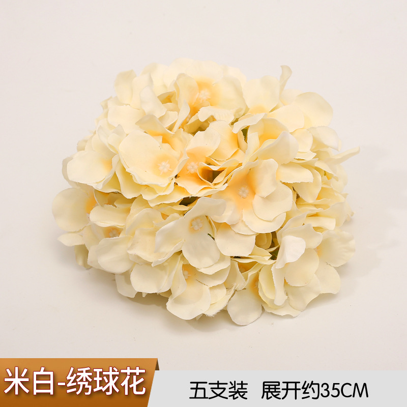 White Hydrangea