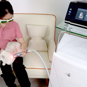 Máquina <span class=keywords><strong>de</strong></span> Terapia Láser Veterinaria <span class=keywords><strong>de</strong></span> Clase IV <span class=keywords><strong>de</strong></span> 810nm y 980nm Avanzada para Alivio del Dolor en Mascotas, Cuidado Postoperatorio - Product Image 2