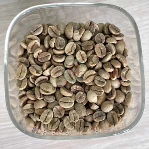 Vietnam Robusta Coffee <b>Beans</b> Size 16 AA+ Pure Natural High Quality Bulk Supply 60kg PP <b>Bags</b> Direct Export - Product Image 1
