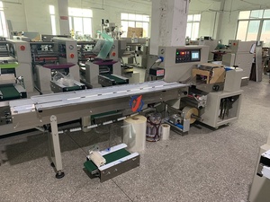 Machine d'emballage automatique pour sacs en plastique pour le poisson et le poulet - Product Image 6