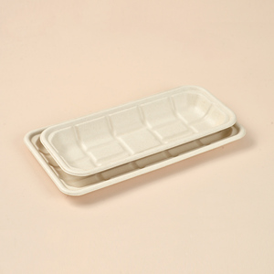 Plateau rectangulaire <span class=keywords><strong>jetable</strong></span> TR104 Protection de l'environnement Vaisselle en bagasse Alternative écologique aux assiettes en plastique - Product Image 2