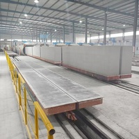Son Tasarım Küçük Kapasiteli Otomatik AAC Blok Üretim Hattı PLC Kontrolü Garantili Kolay Kullanım