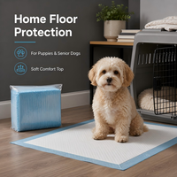 Almohadillas de Entrenamiento para Perros de Alta Resistencia y Ecológicas con Núcleo de Pulpa Fluffy SAP de Absorción Rápida y Revestimiento Impermeable IPX7, Suministro al por Mayor OEM