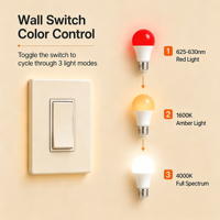 Ampoule LED A19 à changement de couleur (3 couleurs), sans lumière bleue, AC 85-265V, E26/E27, 5W/7W/9W, pour un sommeil sain, usage résidentiel