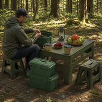 Table pliante portable en plastique pour l'extérieur, camping, pêche, pique-nique, jardin, plage, voyage