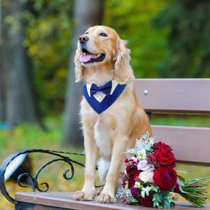 Tanpopo Collier pour <span class=keywords><strong>chien</strong></span> Bandana Écharpe <span class=keywords><strong>Noeud</strong></span> <span class=keywords><strong>papillon</strong></span> Bavoir formel Vêtements élégants Accessoire de costume Mariages et occasions spéciales Collier pour animaux de compagnie - Product Image 6