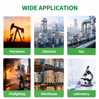 Détecteur de gaz combustible portable CAATM, détecteur de fuite de méthane, GPL, gaz naturel avec capteur catalytique, intrinsèquement sûr