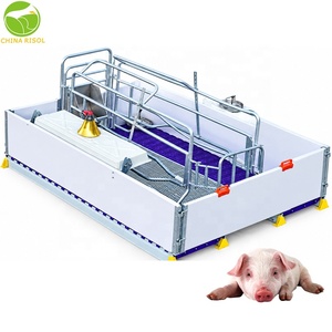 Équipement d'élevage porcin : <span class=keywords><strong>Lit</strong></span> de maternité européen <span class=keywords><strong>pour</strong></span> truies, <span class=keywords><strong>lit</strong></span> de mise bas double, incubateur <span class=keywords><strong>pour</strong></span> porcelets / Cages de mise bas <span class=keywords><strong>pour</strong></span> porcherie - Product Image 4