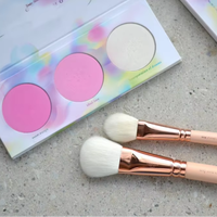 Cosmétiques minéraux en marque privée, vente en gros, maquillage du visage, poudre de blush pour les joues, blush scintillant doux, palette pour peau claire