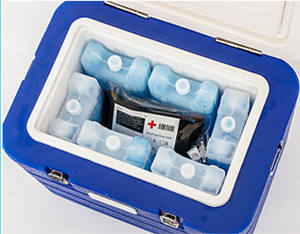 獣医用医薬品保管クーラーボックス、ワクチンバッグ入りアイスボックスキャリア、ワクチン輸送クーラー、ミニ獣医用冷蔵庫 - Product Image 6