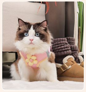 Harness Anjing Model Baru Warna-warni, Tali Dada & Punggung, Bahan Bernapas, Pengurang Beban, Outdoor, Dapat Disesuaikan, Mewah, Lucu - Product Image 5