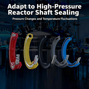 FDA bahar enerjik <span class=keywords><strong>PTFE</strong></span> mühür | Ilaç ve gıda sınıfı | Karıştırıcılar ve dolum makineleri mühürler için sıhhi tasarım - Product Image 4