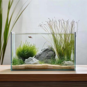 Petit aquarium en verre facile d'entretien, verre transparent, facile à nettoyer, aquarium d'eau douce, aquarium décoratif pour usage domestique - Product Image 5