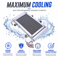 Radiateur de refroidissement à eau pour Bashan 200CC 250CC BS200 BS200S-7 UTV ATV Quad Buggy Accessoires Moteur