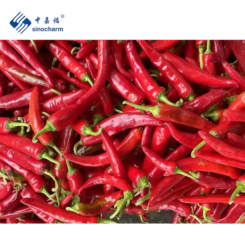 Chili Sinocharm BRC A Fresh Frozen Cut Diced Hot Green Red Chili Pepper Chili From China