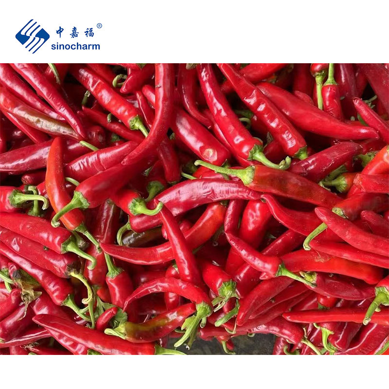 How to Choose the Best Red Chili for Cooking and Heat Preferences