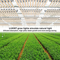 Barras de Luz LED para Cultivo Gavita 1650 Pro E de 720W, Espectro Completo para Floración, Alto PPF, Reemplazo de Lámpara HPS de 1000W, Cuerpo de Aluminio
