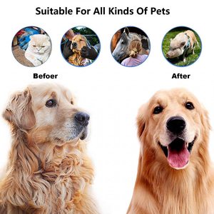 Professional Cute Paw Shape Eco-Friendly Stainless Steel <b>Pet</b> Dog Cat Cleaner <b>Brush</b> Massage One Touch De-shedding Hair Removal - Product Image 4