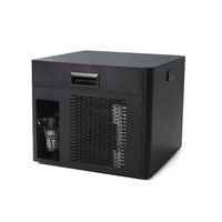 Refroidisseurs à eau personnalisés de 0,3 hp 0,5 hp 1hp Refroidisseur bain de glace de récupération de fitness pour athlètes Refroidisseur plongeant froid avec filtre