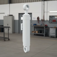 Custom Bore Stroke Hydraulic Cylinder for Forestry Machine Log Loader Hydraulic Crane and Timber Handling Equipment