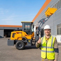 Hydraulischer Radlader mit Dieselmotor für Lager, Baustellen und Materialtransport