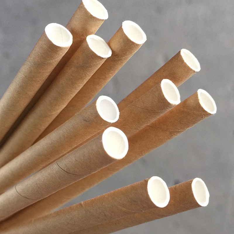 Drinking Compostable Biodegradable Paper Straws Pink