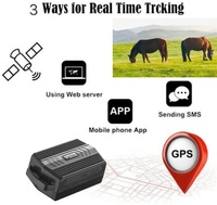 Rastreador GPS TKSTAR TK935 4G LTE GSM/GPRS con LBS para Animales Grandes, Resistente al Agua, Rastreo en Tiempo Real a través de Aplicación Android/iOS y PC