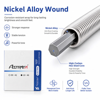 Senar Gitar Elektrik Astraea Alloy Grosir dengan Lapisan Ion PVD Tahan Lama & Nyaman Digenggam Set 6 Senar