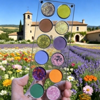 Palette de fards à paupières 12 couleurs, maquillage pour les yeux, créez votre propre marque, étiquette privée, fini brillant, fini mat, fard à paupières personnalisé, imperméable