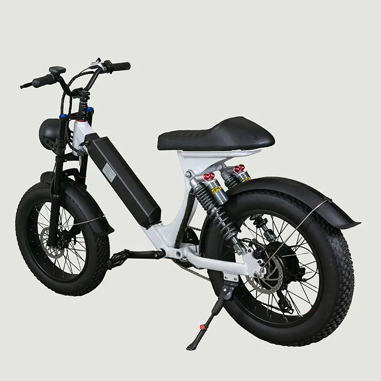 دراجة كهربائية طراز جديد بسعر مميز دراجة كهربائية فائقة super ebike 73