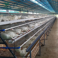 Poulailler portable de type A en fil de fer galvanisé soudé, pour usage domestique et élevages de poules pondeuses, nouvelle découpe automatique, garantie 1 an