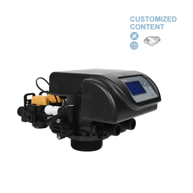 2000L/H Automatic Water softener and filtration PPO AUTOMATIC control Valve for filters and softeners