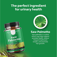 Paquet OEM Saw Palmetto 60 capsules de soutien de santé urinaire et de la prostate Capsule de palmier à scier Saw Palmetto Baies