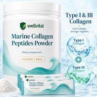 Fabricant de Matières Premières : Poudre de Peptides de Collagène Marin avec Collagène de Type I et III