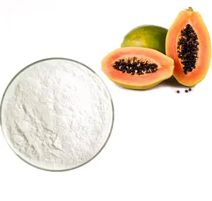 Hoge Kwaliteit Papaja Zaden Extract Poeder Natuurlijke Papaja Enzym