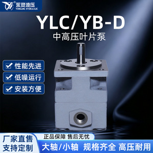 ปั๊มไฮดรอลิกแบบใบพัดแรงดันปานกลาง-สูง รุ่น YLCYB-D ยี่ห้อ Yongling Hydraulics สำหรับระบบอัตโนมัติทางอุตสาหกรรม - Product Image 5