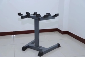 LongGlory China Factory direttamente Home Gym Equipment manubri Stand Rack per manubri regolabili - Product Image 2