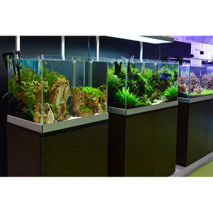 工場製の超白いガラスの水槽、白い印刷水族館Feature @ - Product Image 2