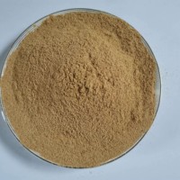 Poudre d'extrait de levure Offre Spéciale d'aliments pour volailles animales