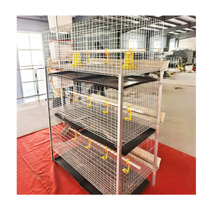 Cage à poules automatique <span class=keywords><strong>de</strong></span> type H, cage à volailles, cage à poules pondeuses, 3 niveaux, 2 portes, cage à poulets <span class=keywords><strong>de</strong></span> <span class=keywords><strong>chair</strong></span> pour 72 poulets - Product Image 3