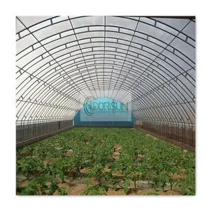 גדול השקיה אלומיניום מנעול פרופיל פנל סולארי זול פוליקרבונט זכוכית חממות לחקלאות