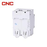 Mini disjoncteur solaire 2 P DC 500V 16A photovoltaïque 2 pôles DC MCB pour système PV