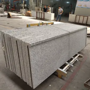 Coungranite Cozinha Mesa Bancada Variedade Counter Top Corte ao Tamanho Granito Granito Pedra Top Quality 40 Pés Laje Branco