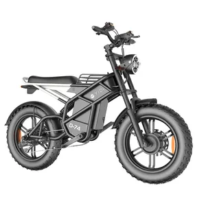 Bicicleta eléctrica de carga de 20 pulgadas, neumático ancho, 1000w, 2000w