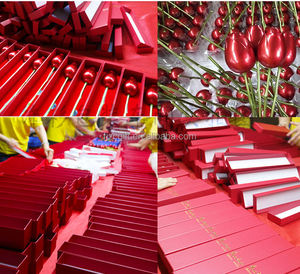 Collier et boucles d'oreilles en métal et plastique, motif rose rouge, double élément, étanche, portable, pour <span class=keywords><strong>déclaration</strong></span> de Saint-<span class=keywords><strong>Valentin</strong></span> - Product Image 4