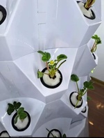 Tour de jardin aéroponique d'intérieur moderne avec pots en plastique pour herbes, fruits et légumes, graines avec adaptateur de minuterie, filet de lit pour semis