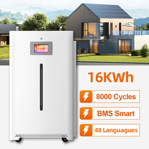 Sistema de Almacenamiento de Energía de Gran Capacidad, Sistema de Energía Solar, Magazyn Energii 16Kwh 51.2V 320Ah, Paquete de Baterías de Litio Powewall - Product Image 1