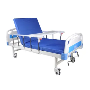 Professional Manufacture 2 Cranks Manual Hospital Bed Clinic Bed For Patients