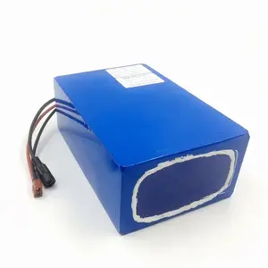 Lithium Ion Batterijen Lifepo4 24V 12V Lithium Batterij 65ah 70ah 75ah Lifepo4 Batterij Voor Elektrische Voertuigen